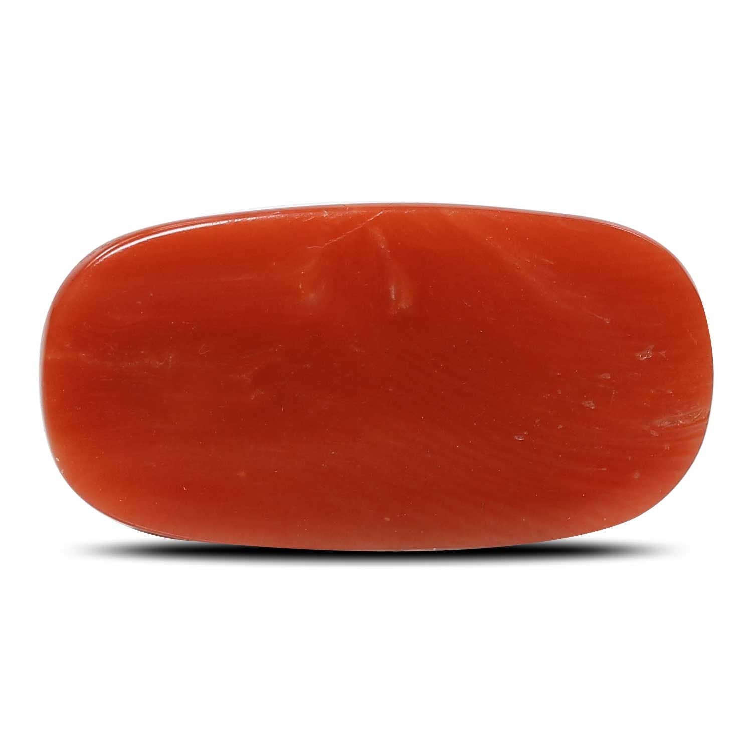 Red Coral (Moonga) - 7.99 Carat