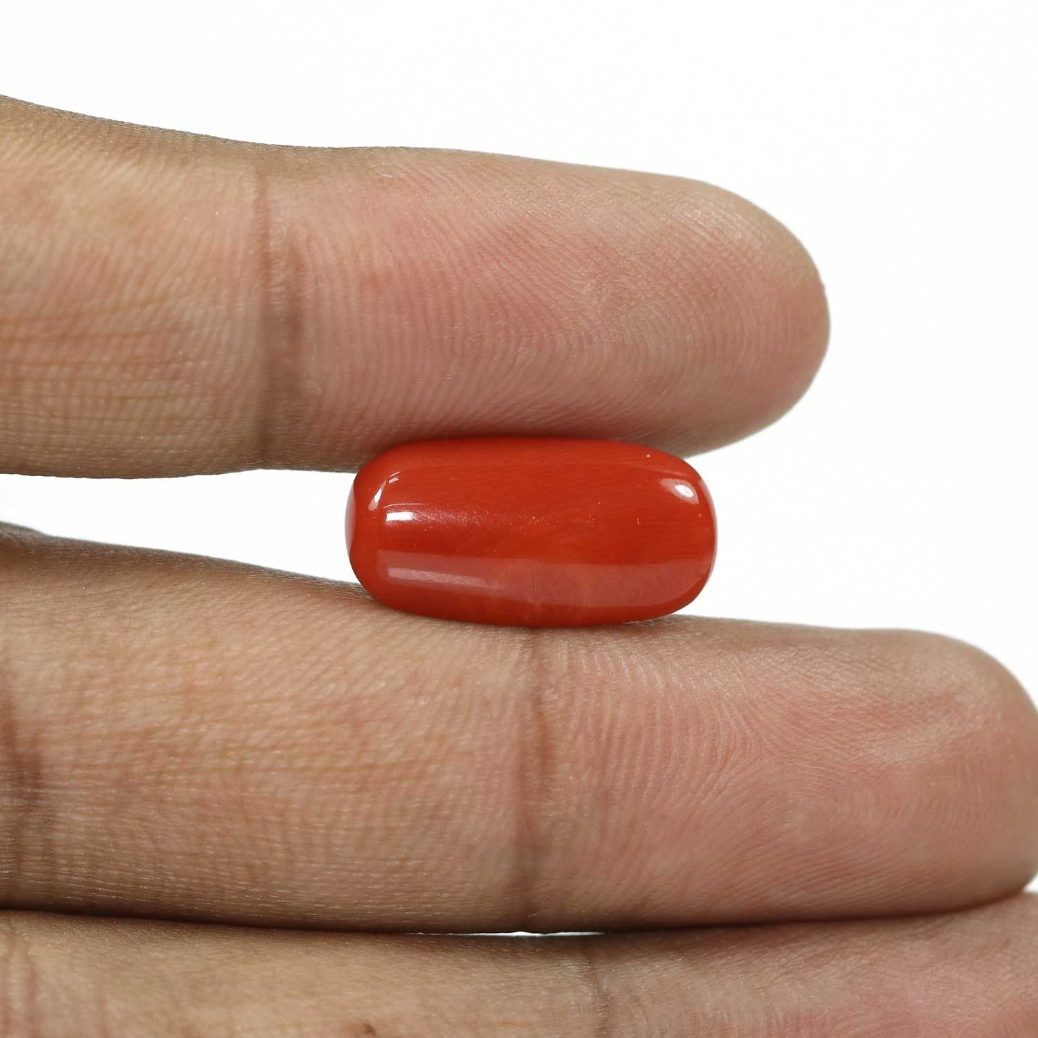 Red Coral (Moonga) - 7.99 Carat
