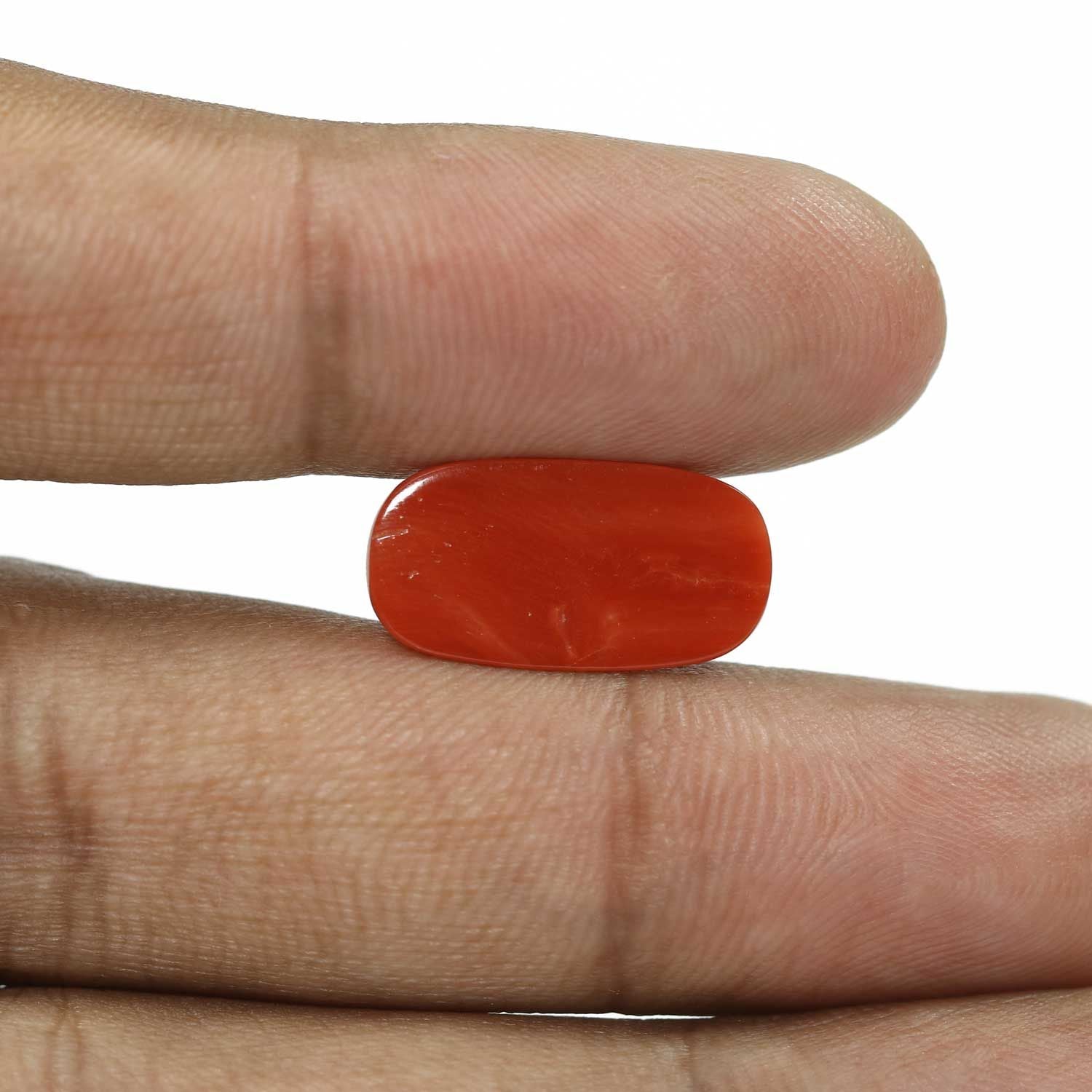 Red Coral (Moonga) - 7.99 Carat
