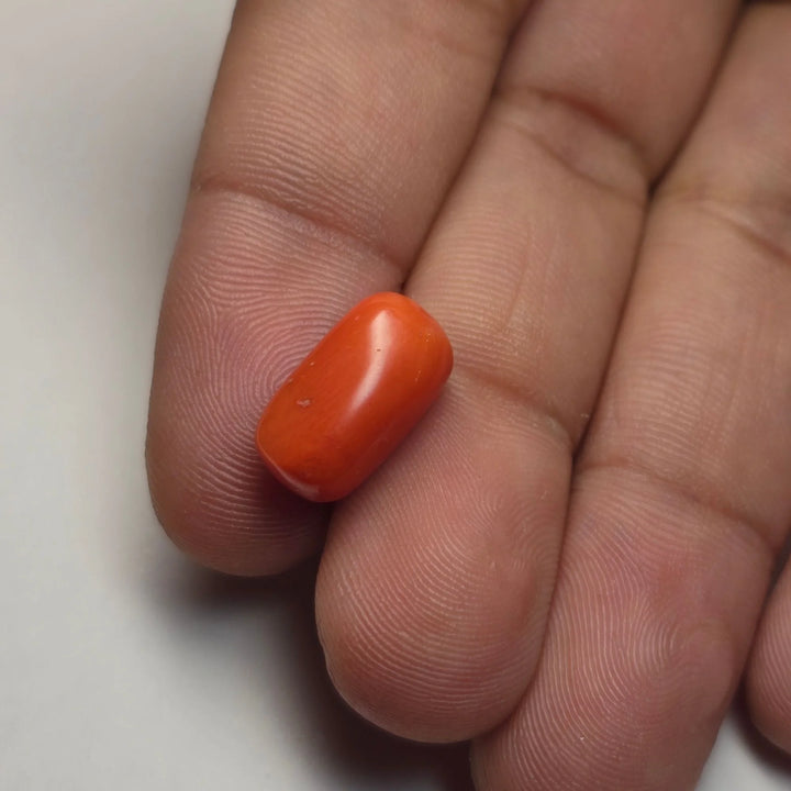 Natural Italian Red Coral (Munga) 6.18 Carat Online | Certified