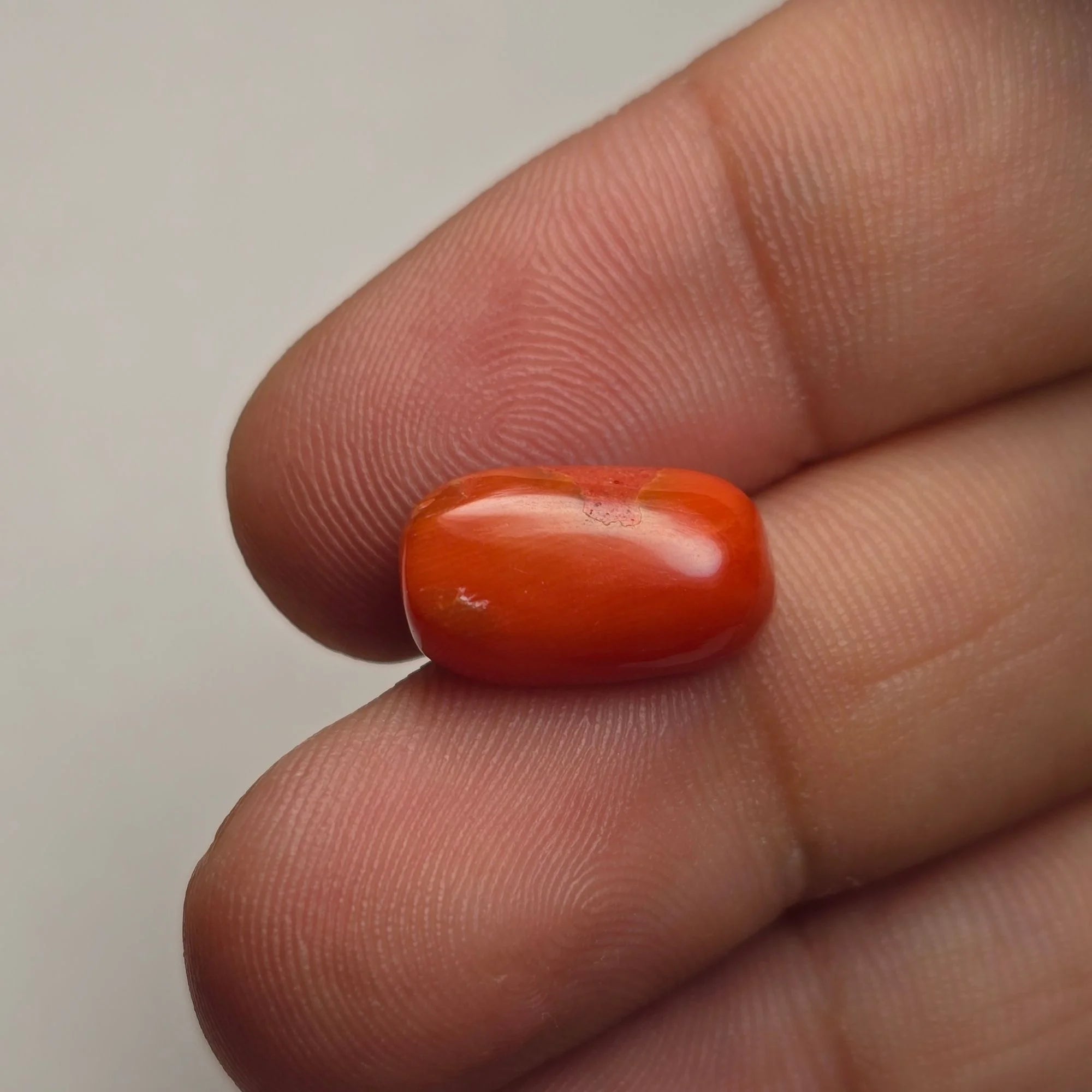 Natural Italian Coral (Munga) – 4.57 Ct Certified Red Coral