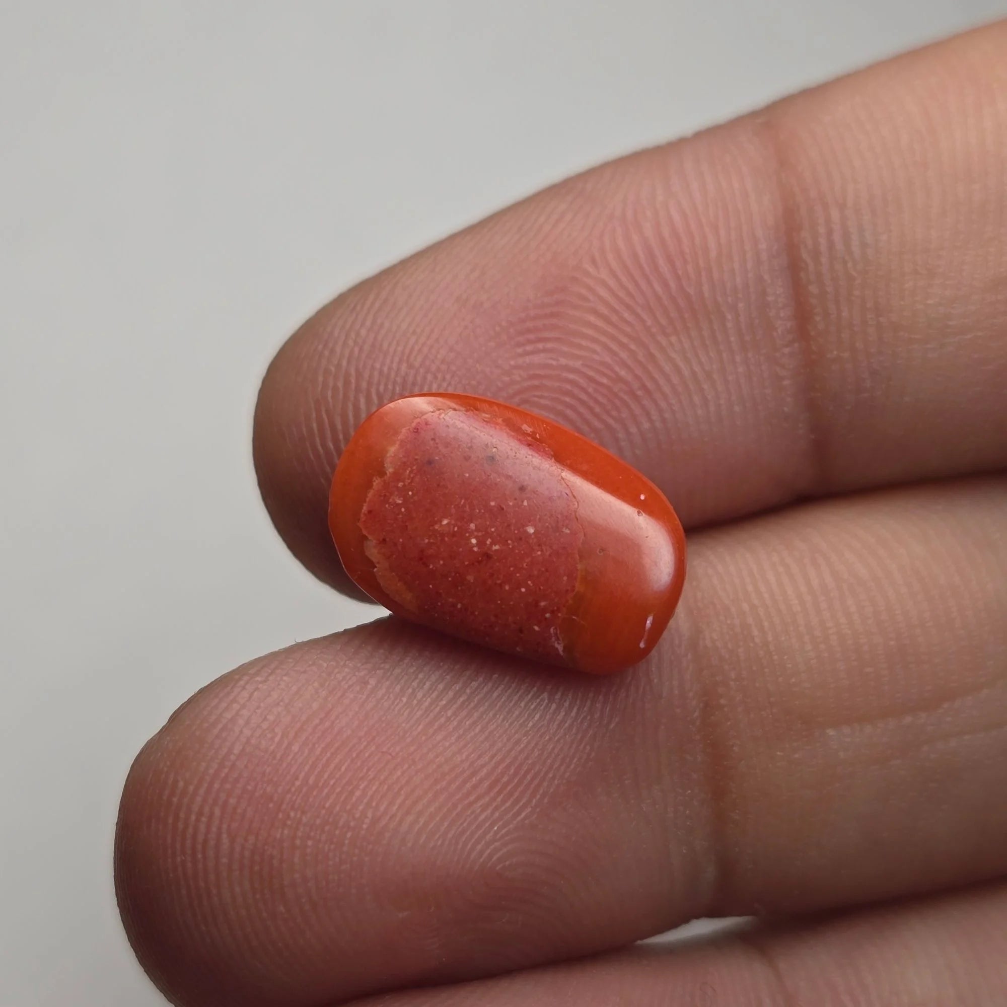 Natural Italian Coral (Munga) 3.80 Carats Certified
