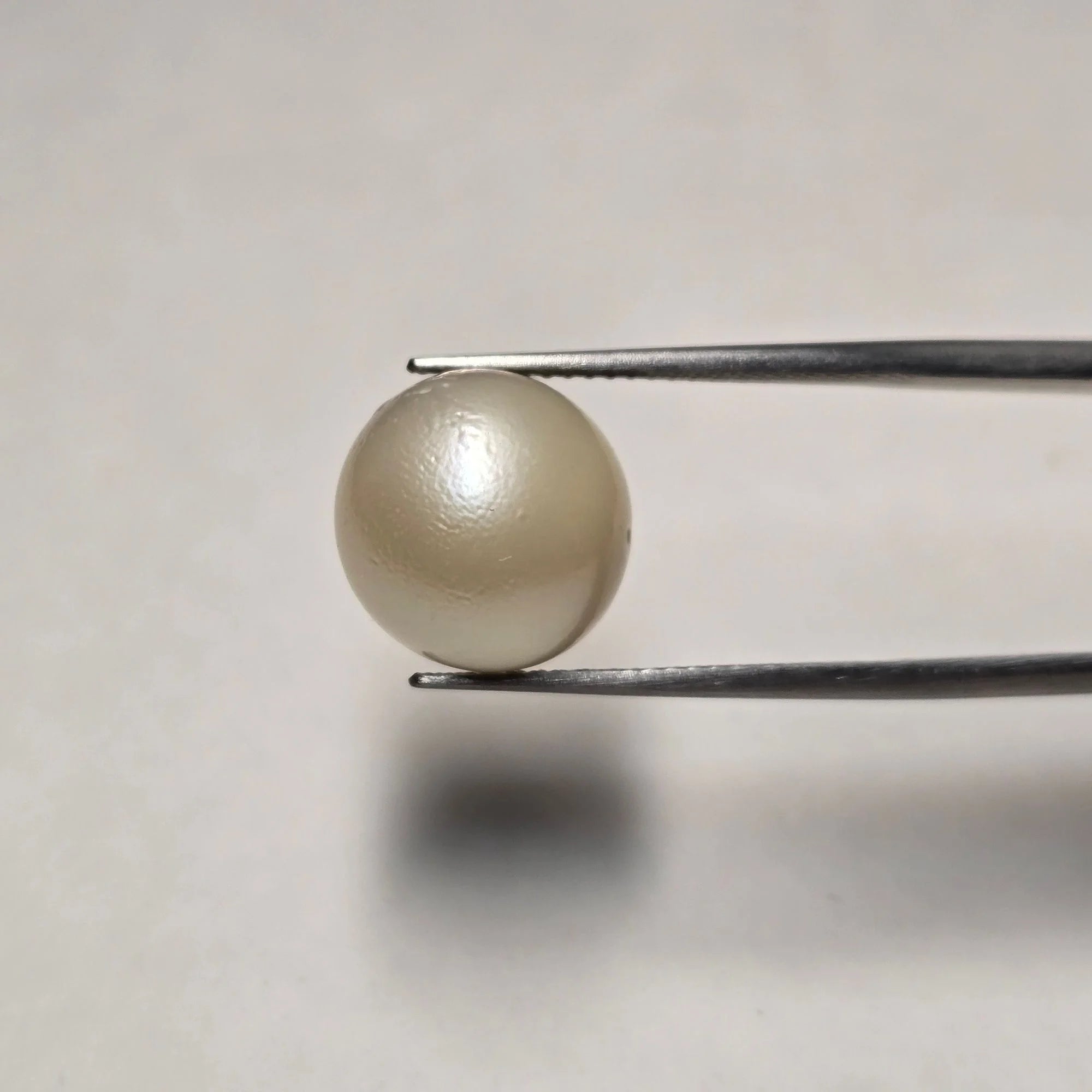 Natural South Sea Pearl (Moti) | 11.80 Carats Certified