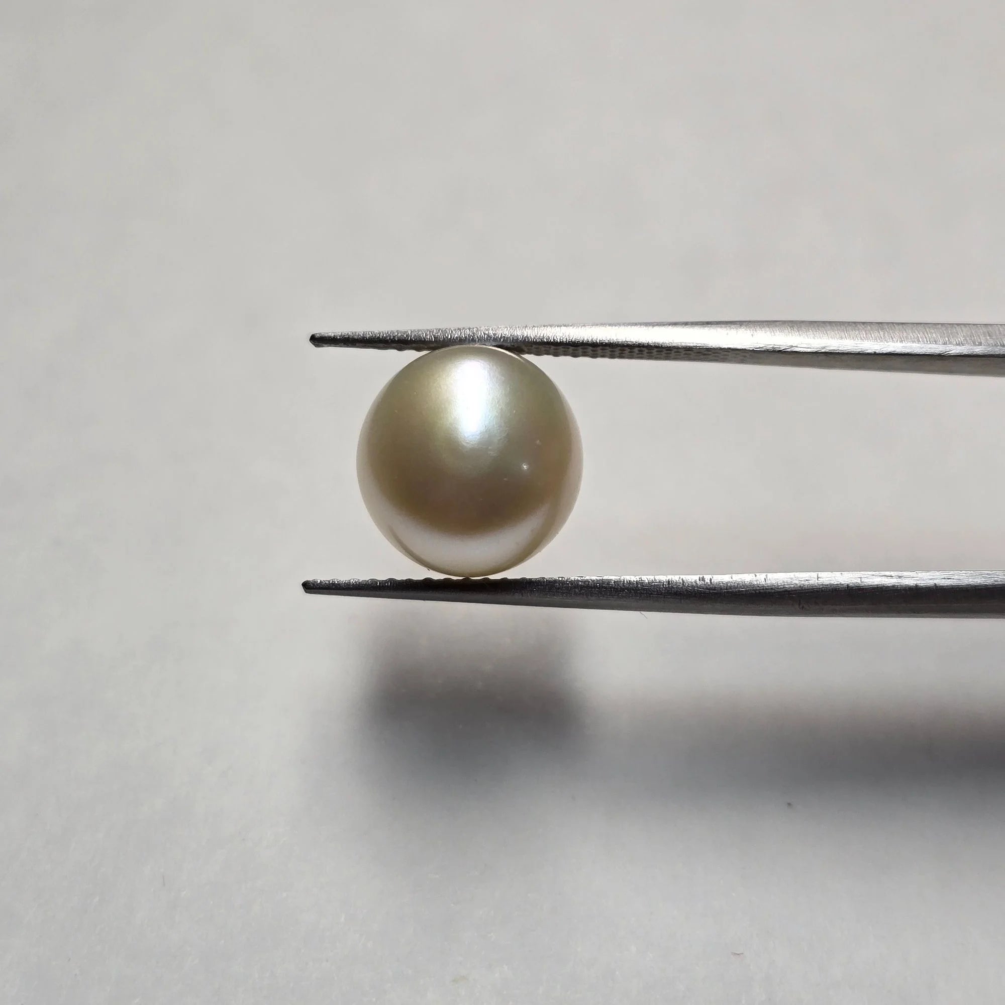Natural Pearl (Moti) - 6.15 Carats | Certified