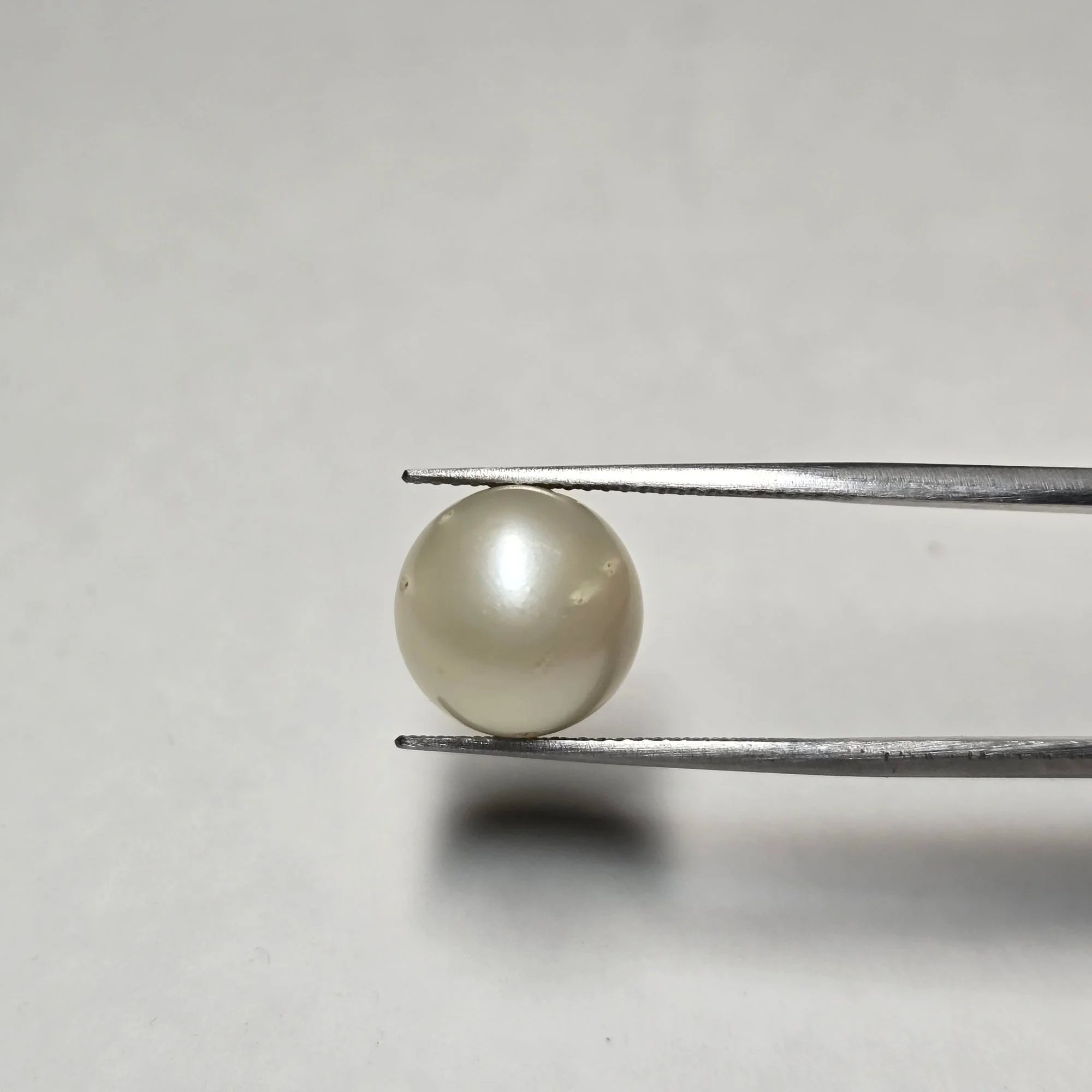 Natural South Sea Pearl (Moti) 9.82 Carat – Certified