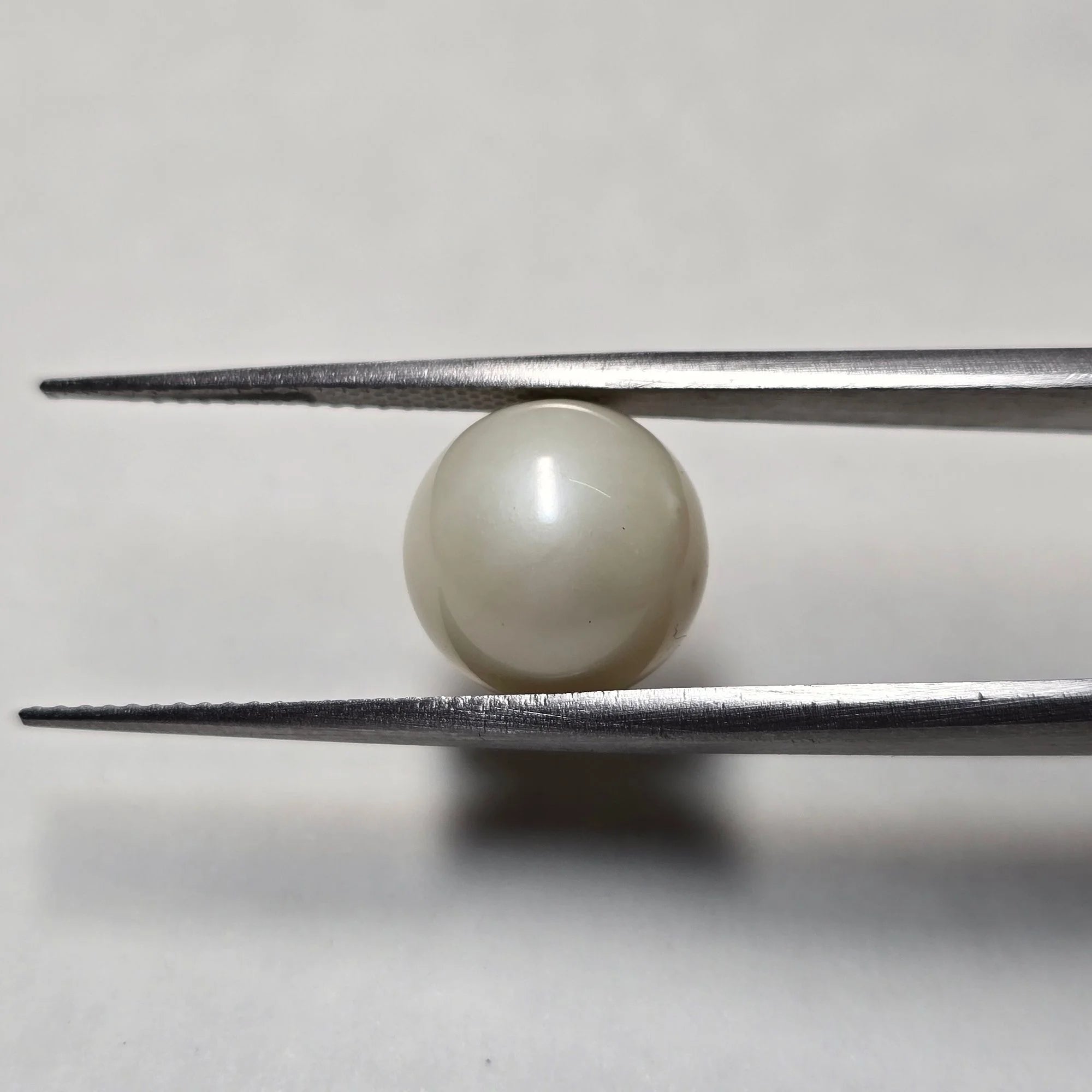 Natural South Sea Pearl (Moti) - 8.55 Carats