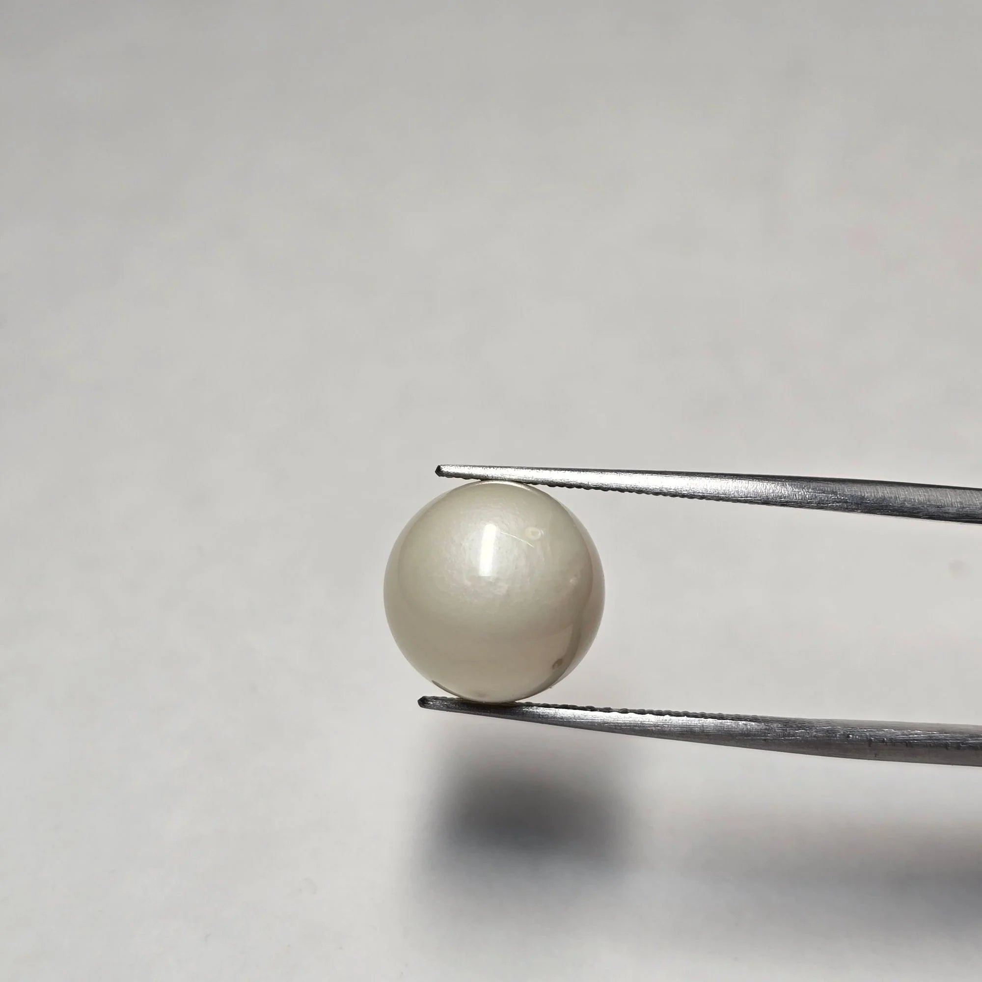 Natural South Sea White Pearl 8.55 Carats - Moti