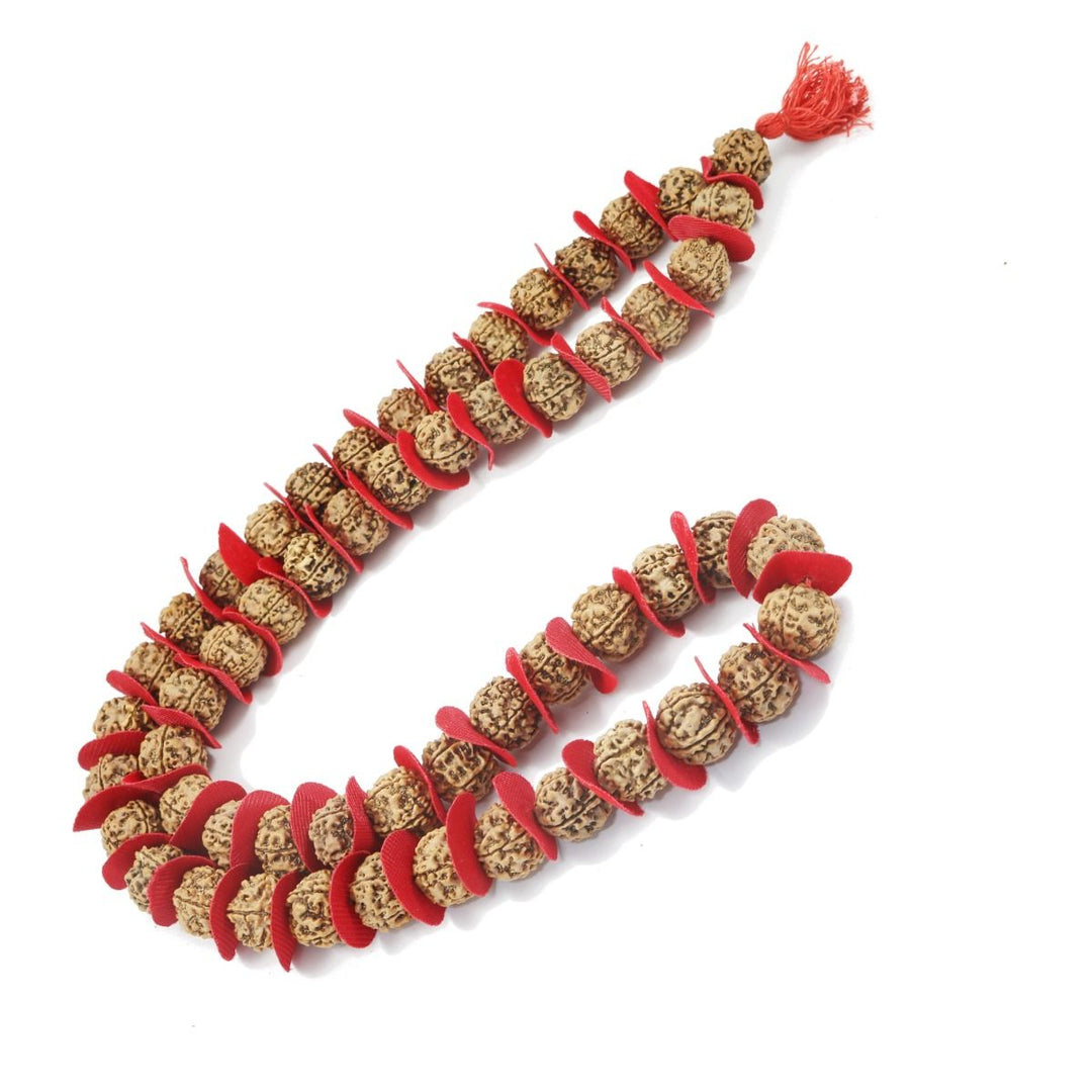 5 Mukhi Rudraksha Kantha Nepal (Jaap Mala) 54+1 Beads
