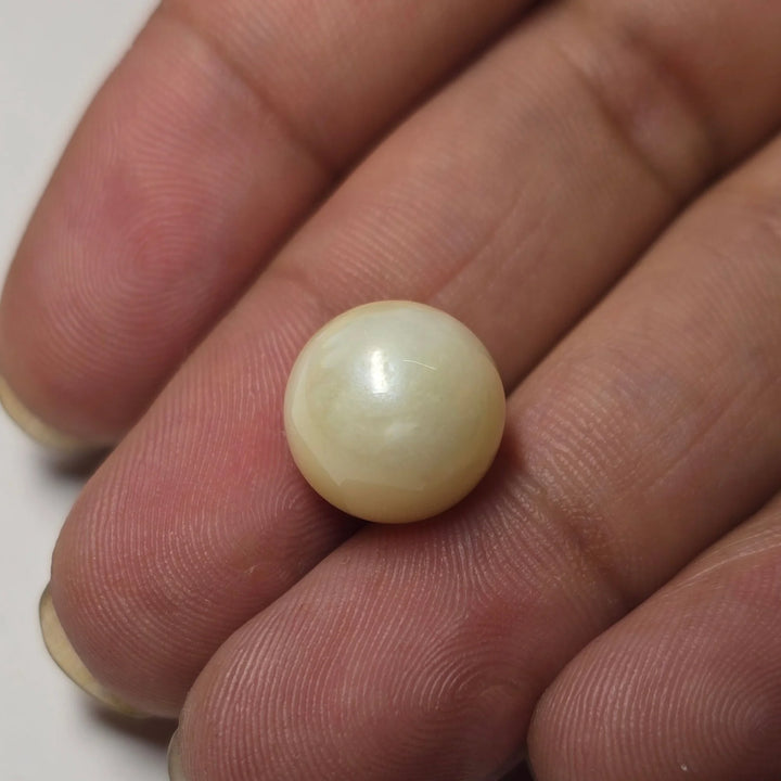 Natural South Sea Pearl (Moti) 10.71 Carats Certified