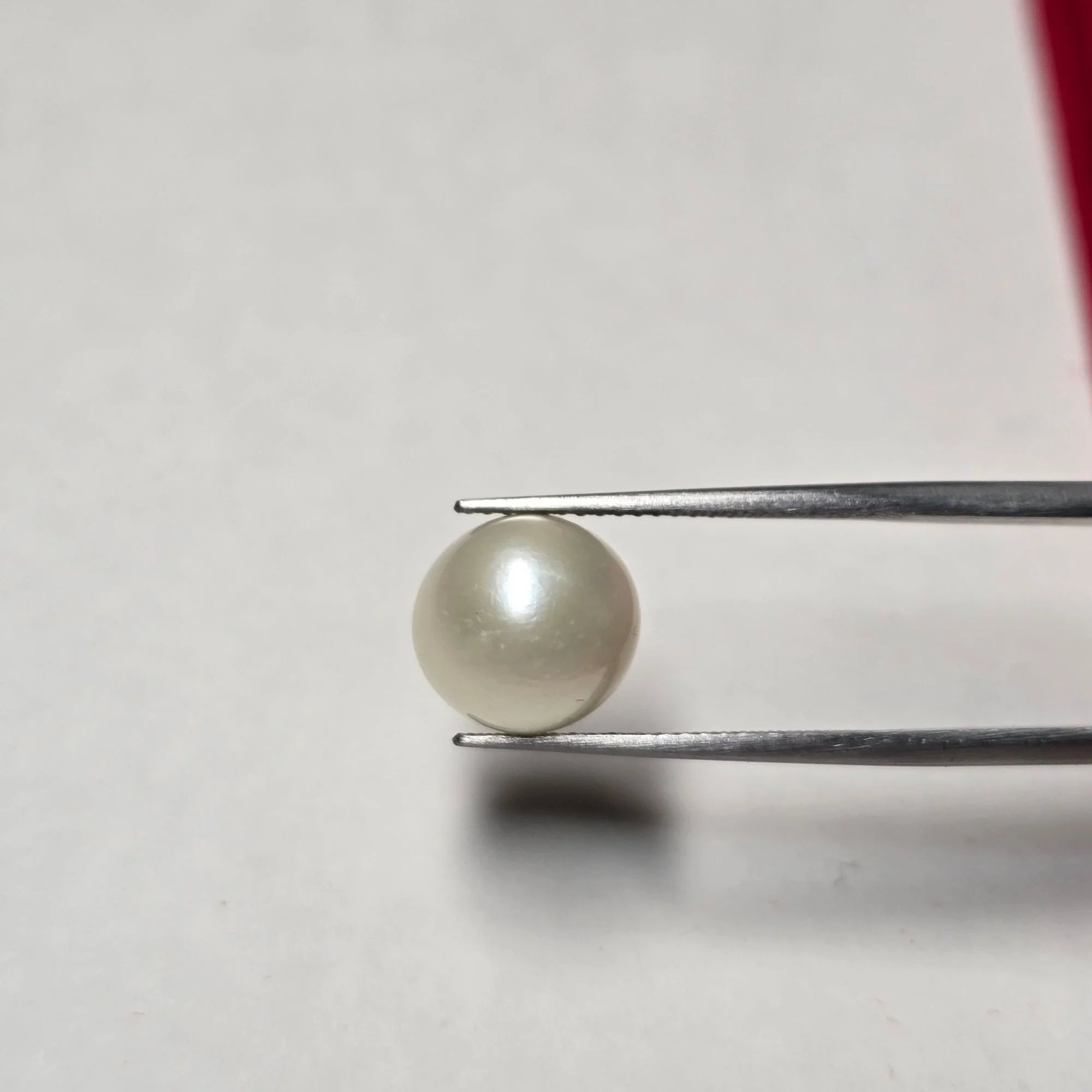 Natural South Sea Pearl (Moti) - 9.74 Carats