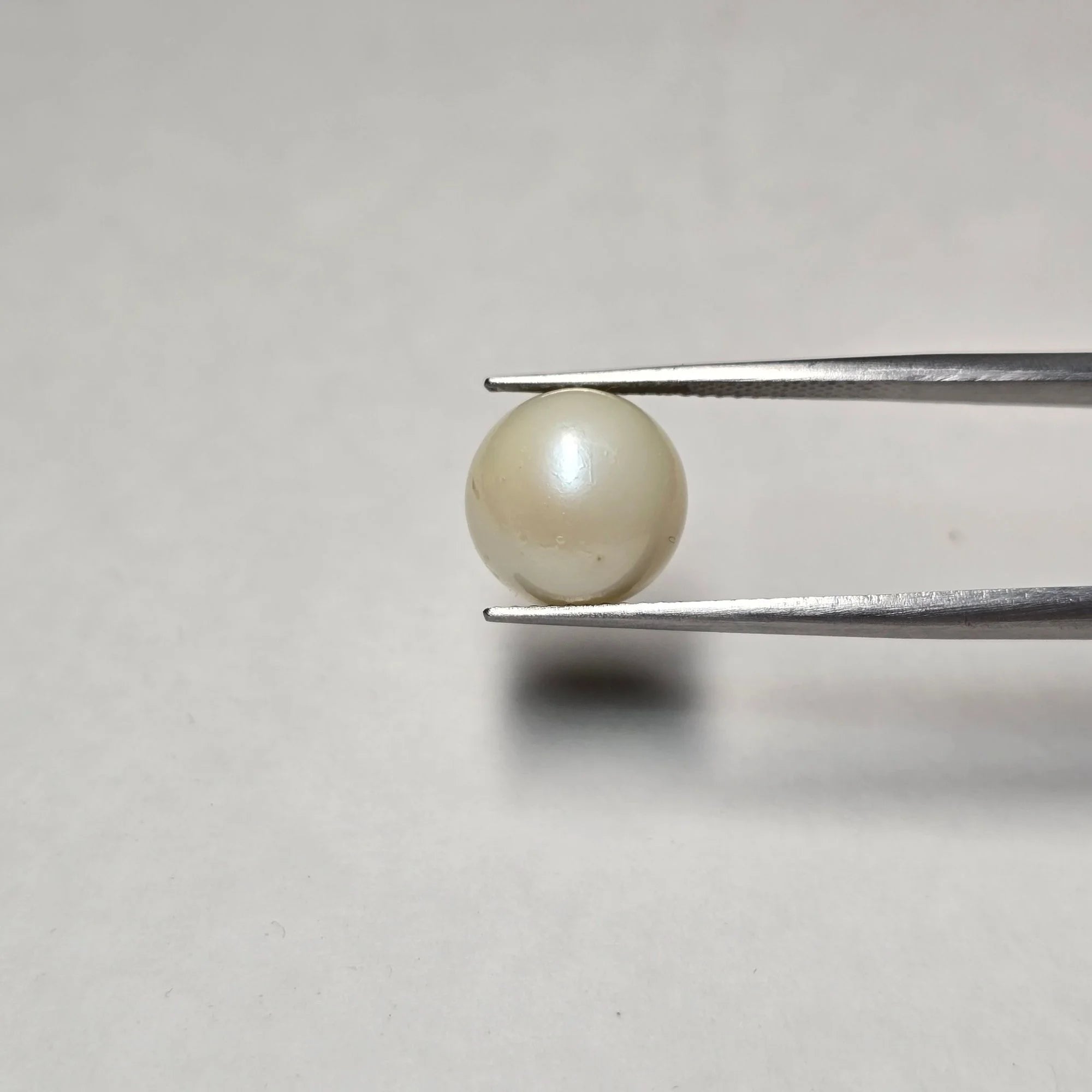 Natural South Sea Pearl (Moti) | 8.30 Carat Certified