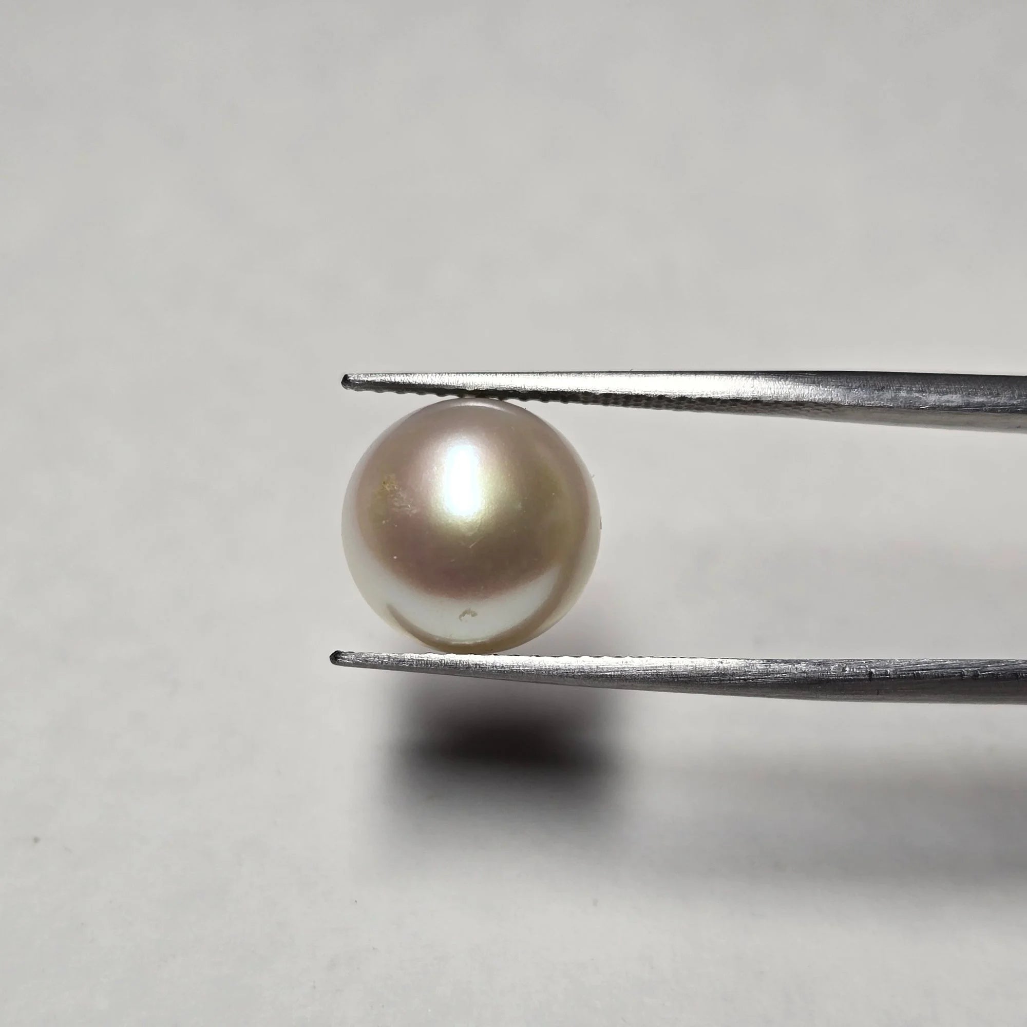 Natural Pearl (Moti) 6.49 Carats - Certified & Untreated