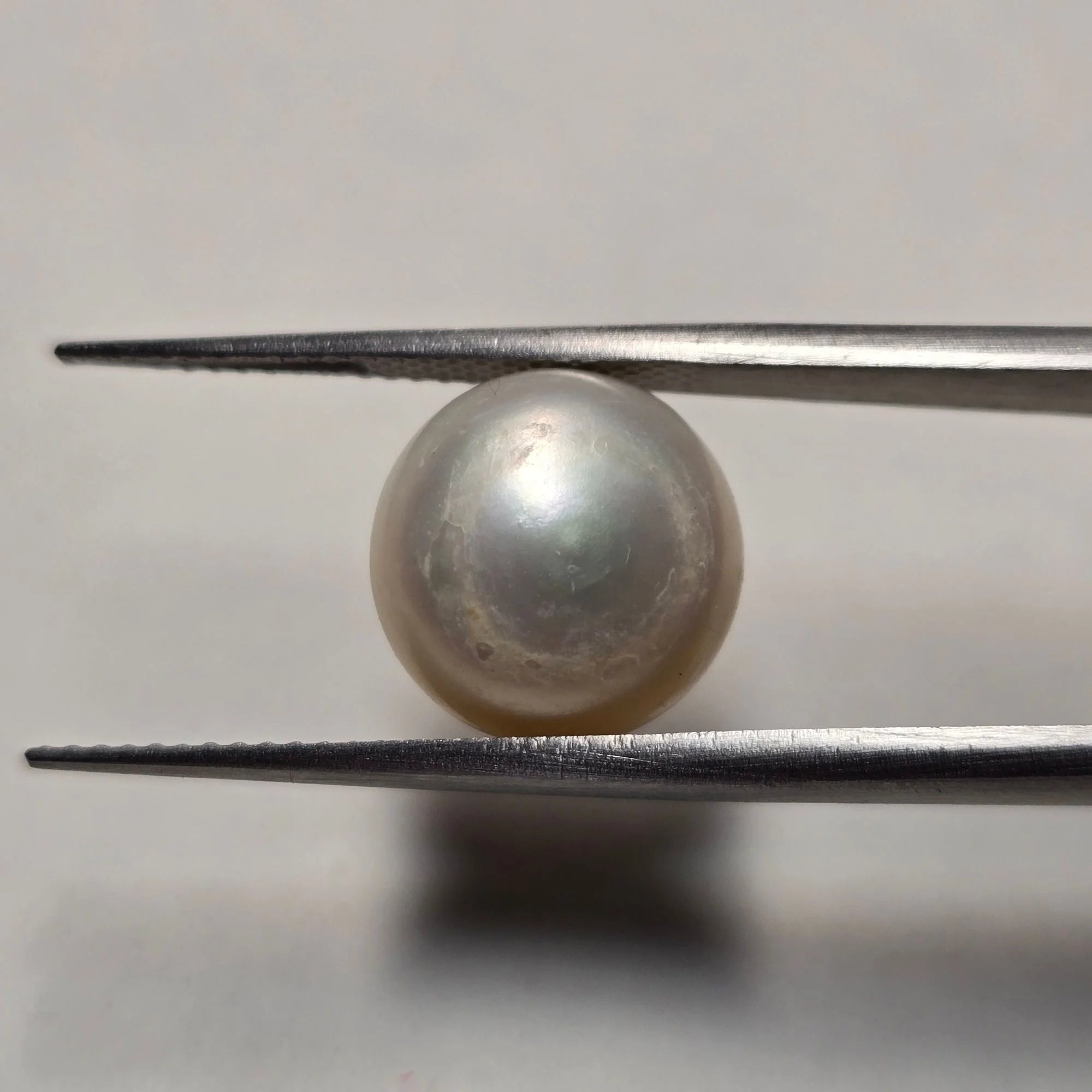 Natural Pearl Moti 7.44 Carat | Certified Round Cabochon