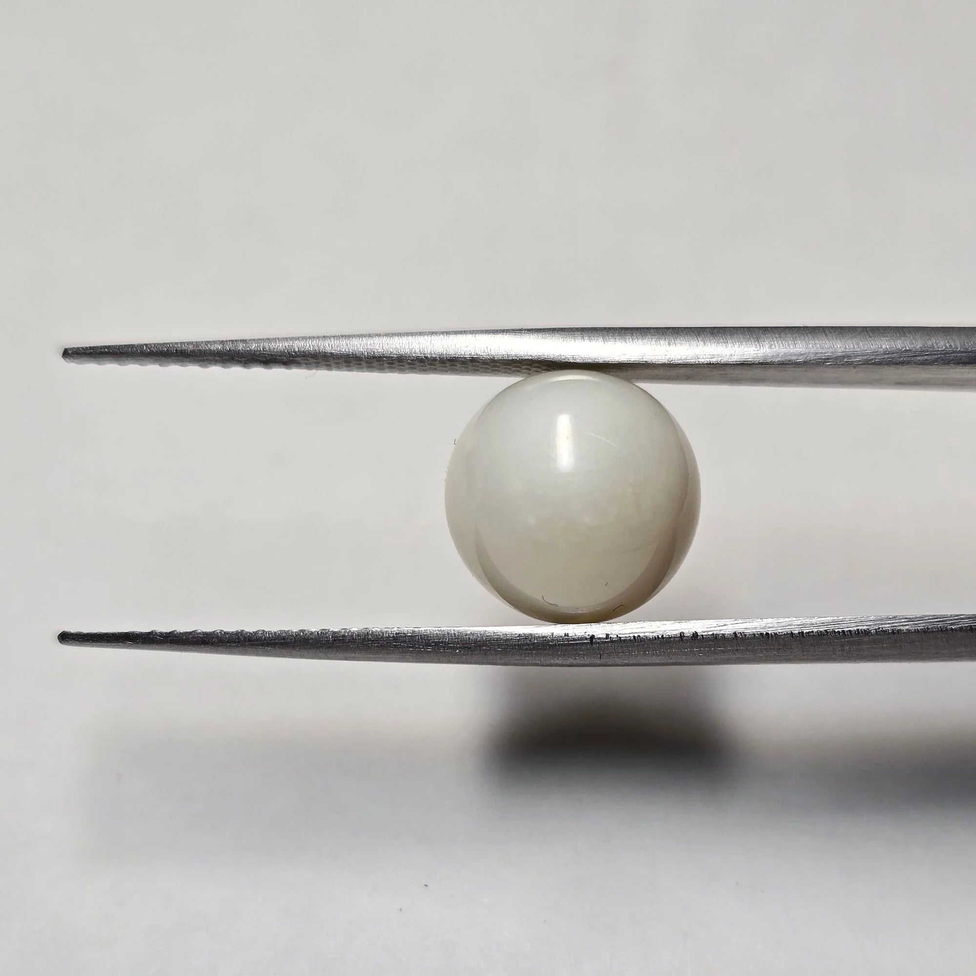 Natural South Sea Pearl (Moti) - 7.89 Carats