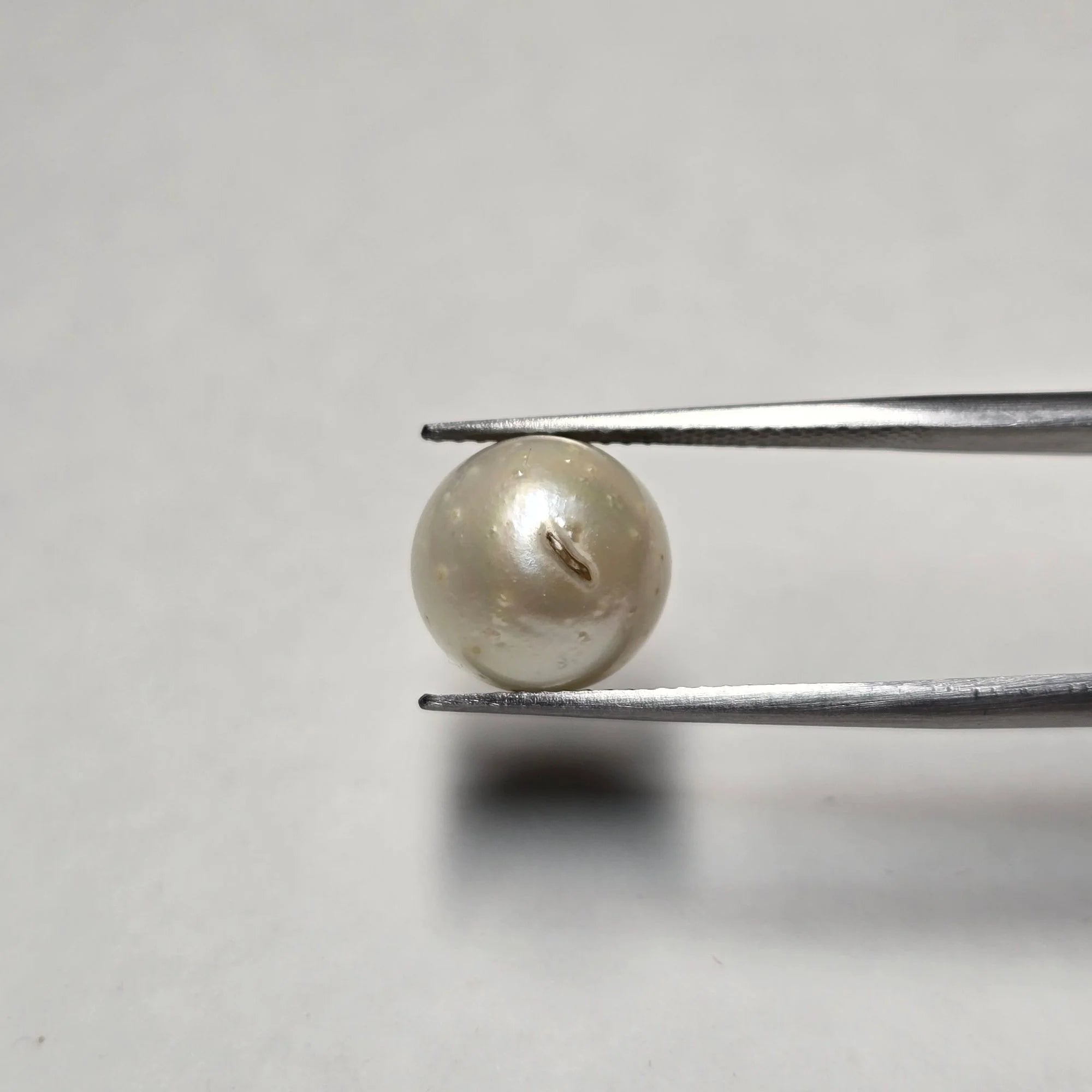 Natural South Sea Pearl (Moti) - 8.13 Carats