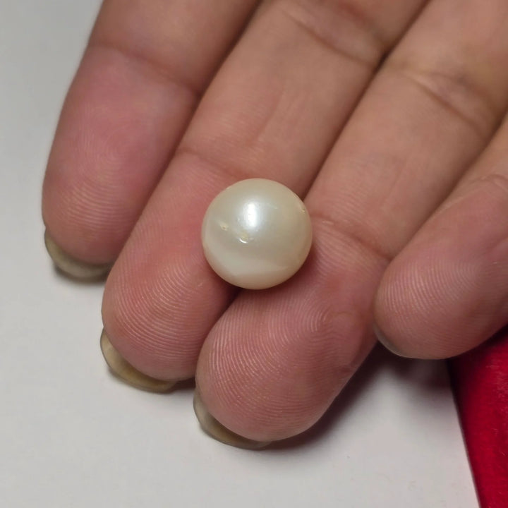 Natural South Sea Pearl (Moti) 9.82 Carat – Certified