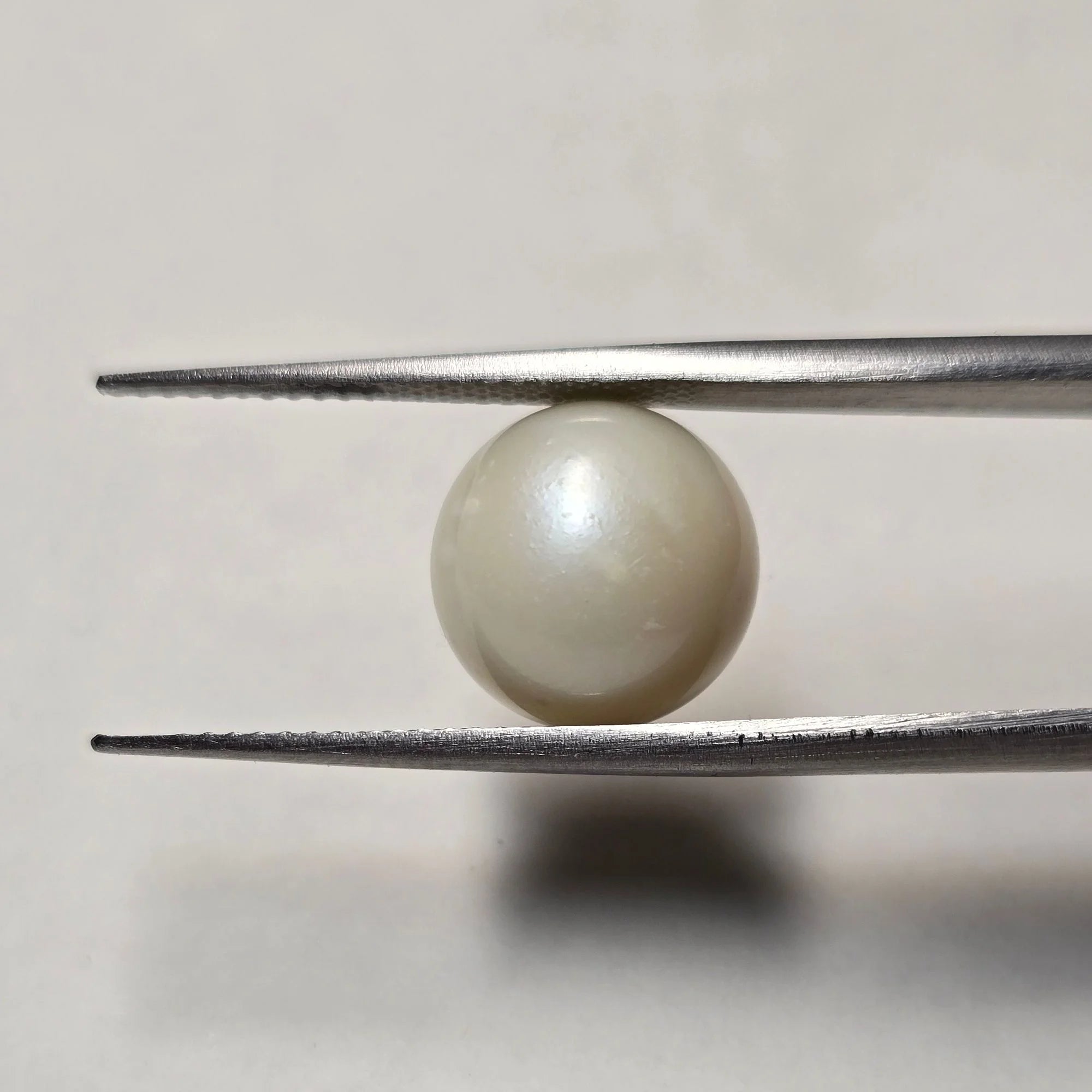Natural White South Sea Pearl (Moti) - 9.50 Carats Certified