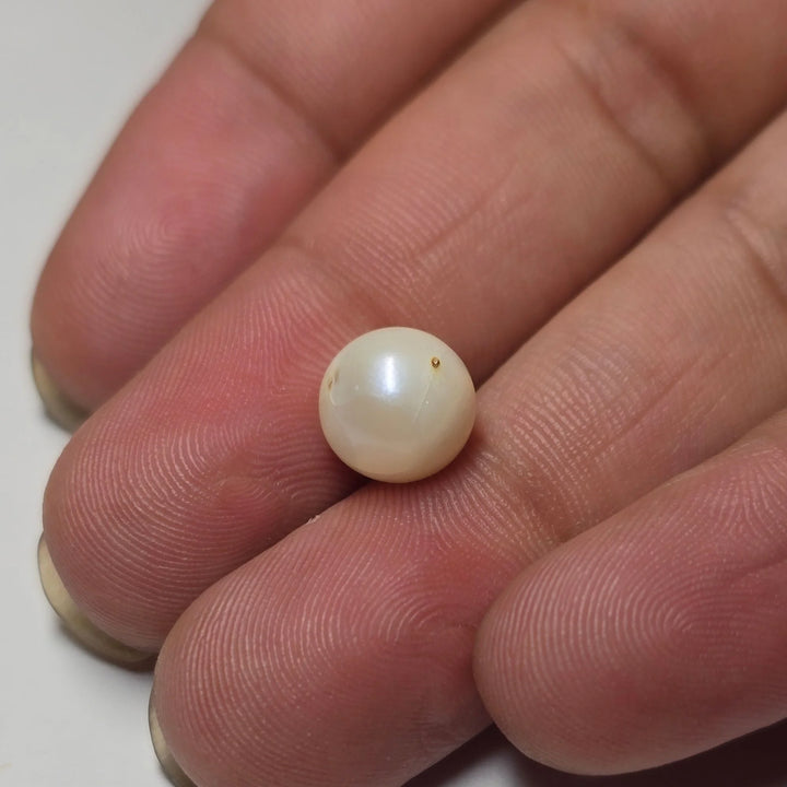 Natural South Sea Pearl (Moti) - 4.27 Carat
