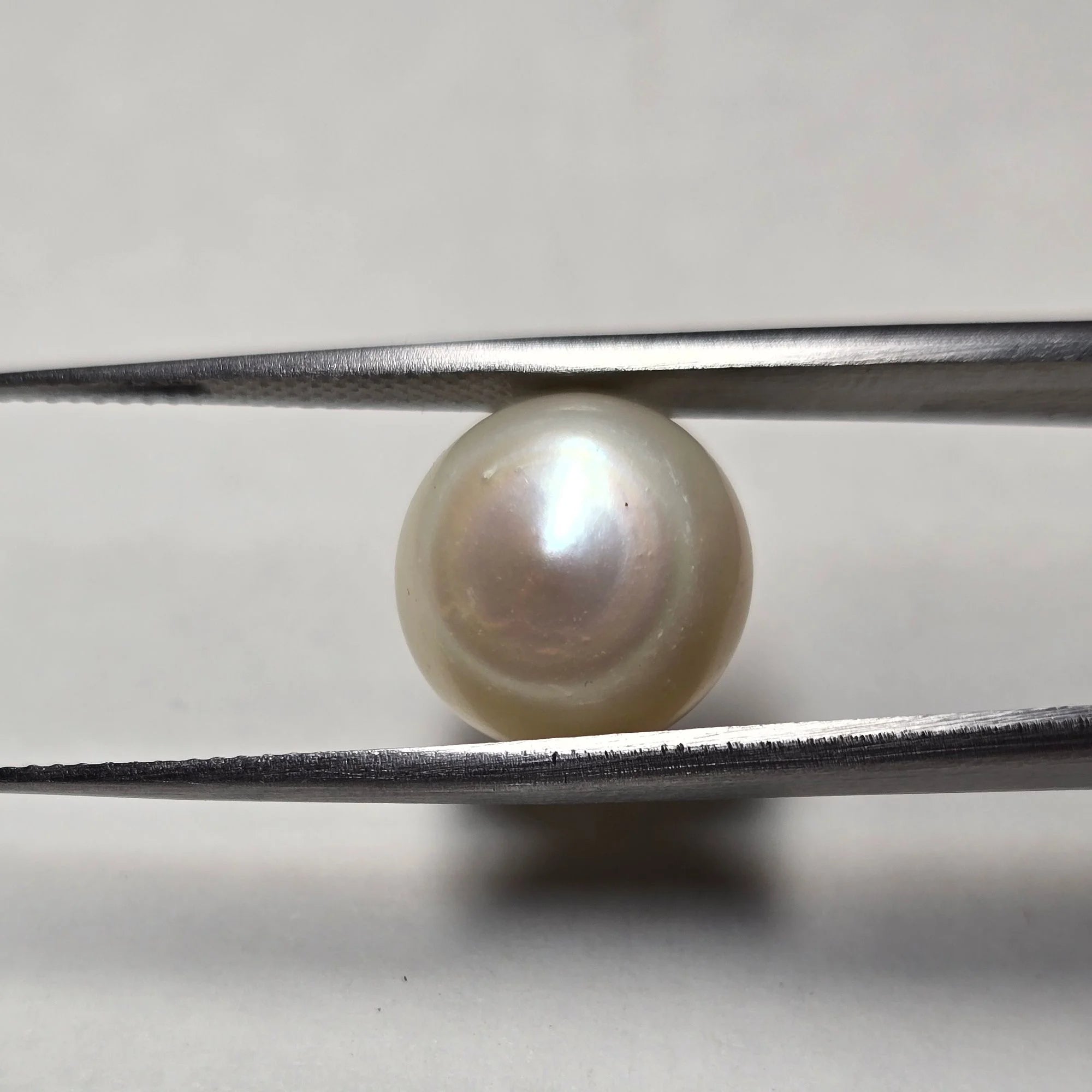 Natural Pearl (Moti) 9.74 Carats - Certified