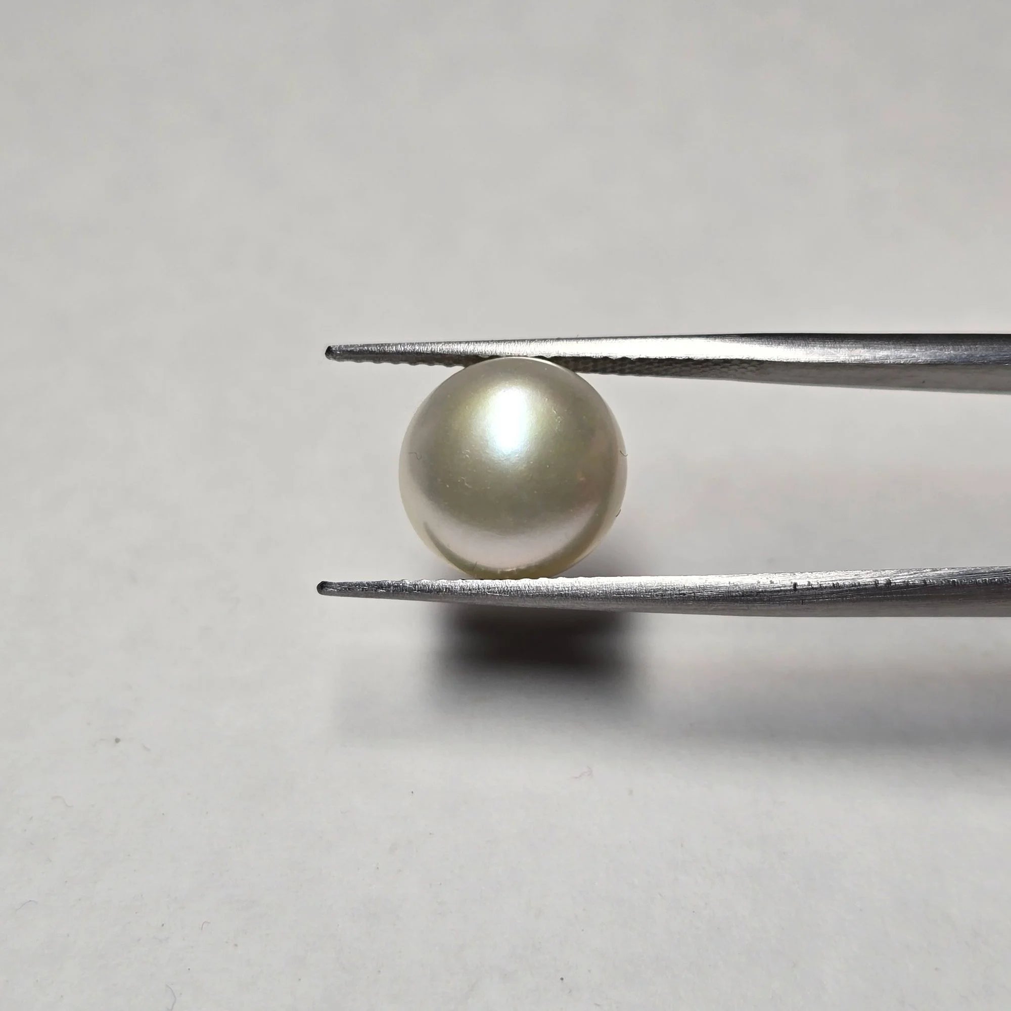 Natural Pearl (Moti) 7.50 Carat - Vedic Gemstone